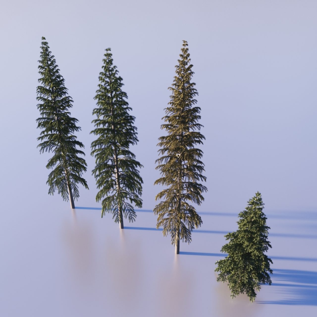 Carey House Tutorial 03 - Trees