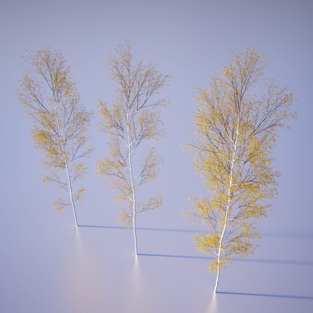 Carey House Tutorial 03 - Trees